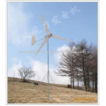 pequeno moinho de vento em casa energia turbina gerador 300W, verde de energia, instalação fácil